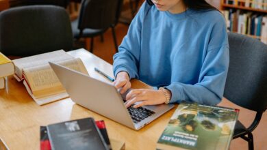 Danish scholarships 2023