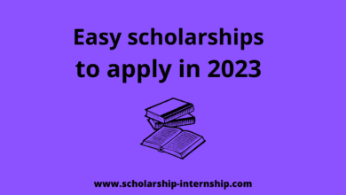 Merit-Based Scholarships 2022 for International Students