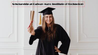 Scholarship in Ireland 2022