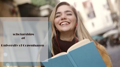 Phd scholarships in Denmark