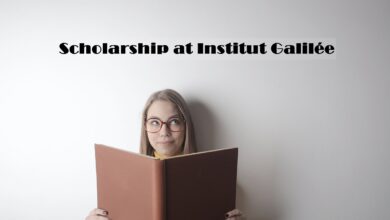 France excellence scholarship