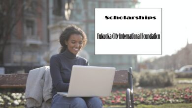 Study abroad Japan scholarships