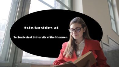 Ireland scholarships for international students