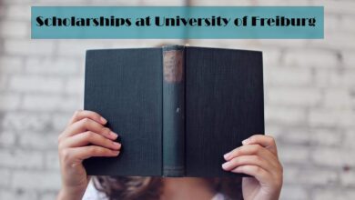 Study in Germany scholarships