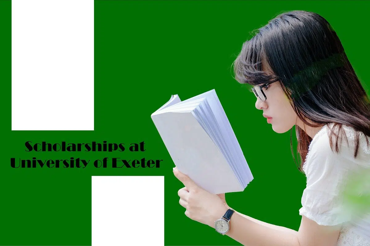 renewable energy engineering MSc