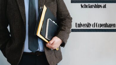 Denmark PhD scholarships