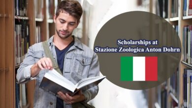 phd scholarships in chemistry for international students