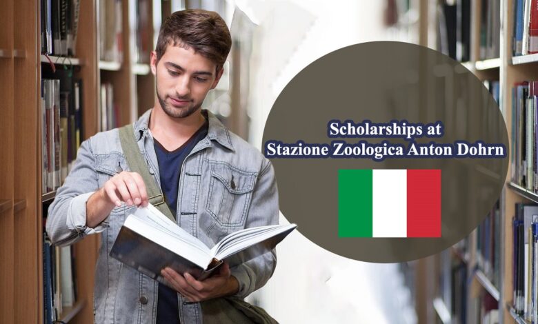 Italy PhD scholarships
