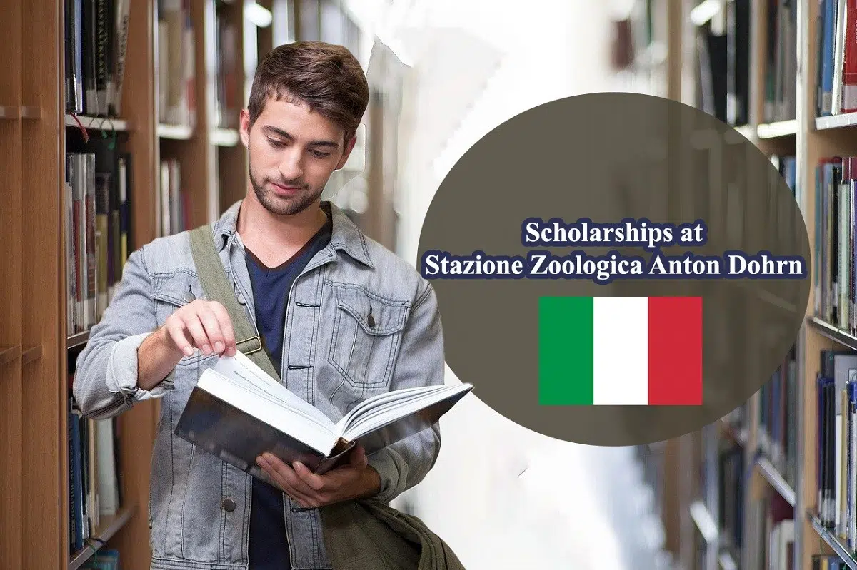 Italy PhD scholarships