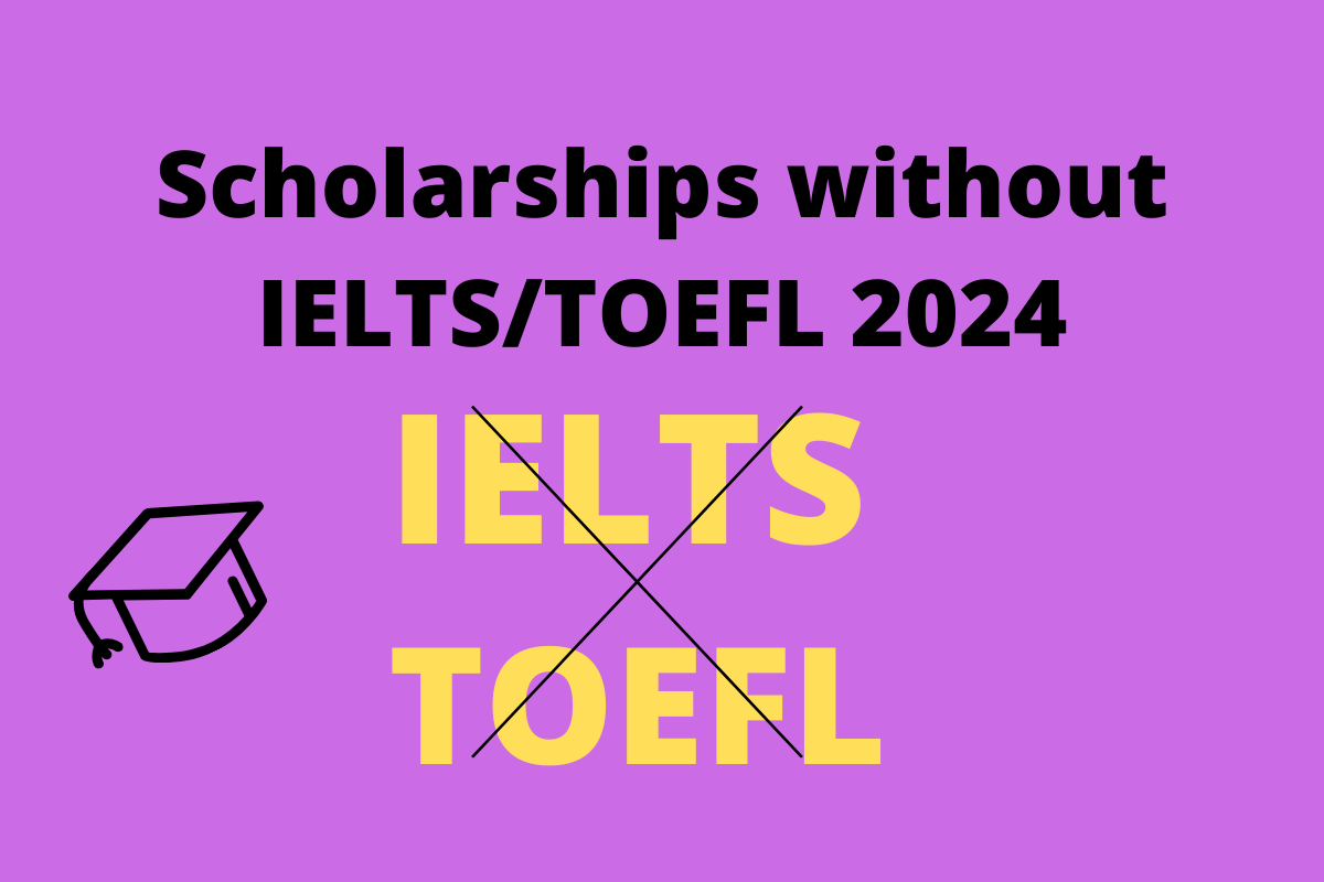 scholarships without IELTS 2024