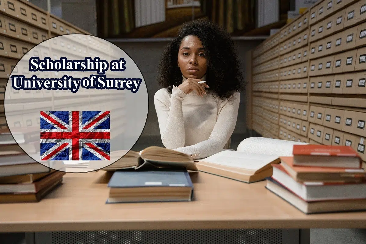 Postgraduate merit scholarship