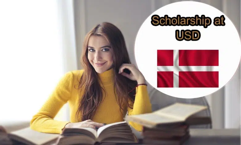 Denmark PhD scholarship