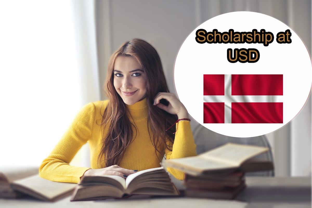 Denmark PhD scholarship