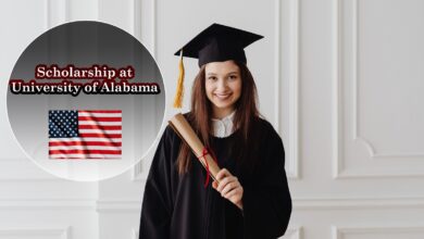UA scholarships