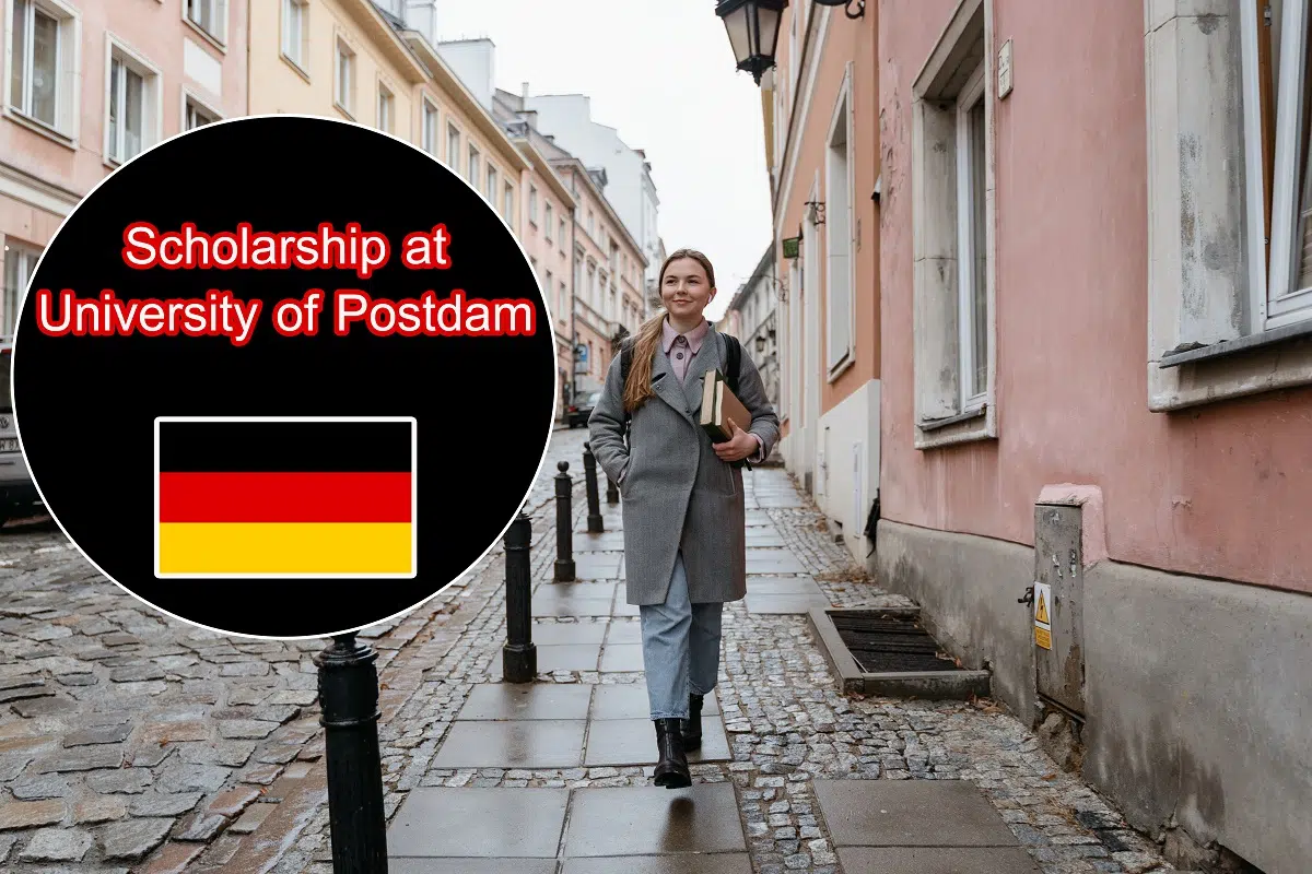 PhD scholarships in Germany