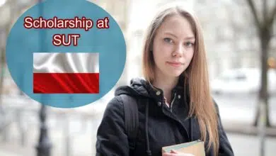 Scholarships in Poland for international students