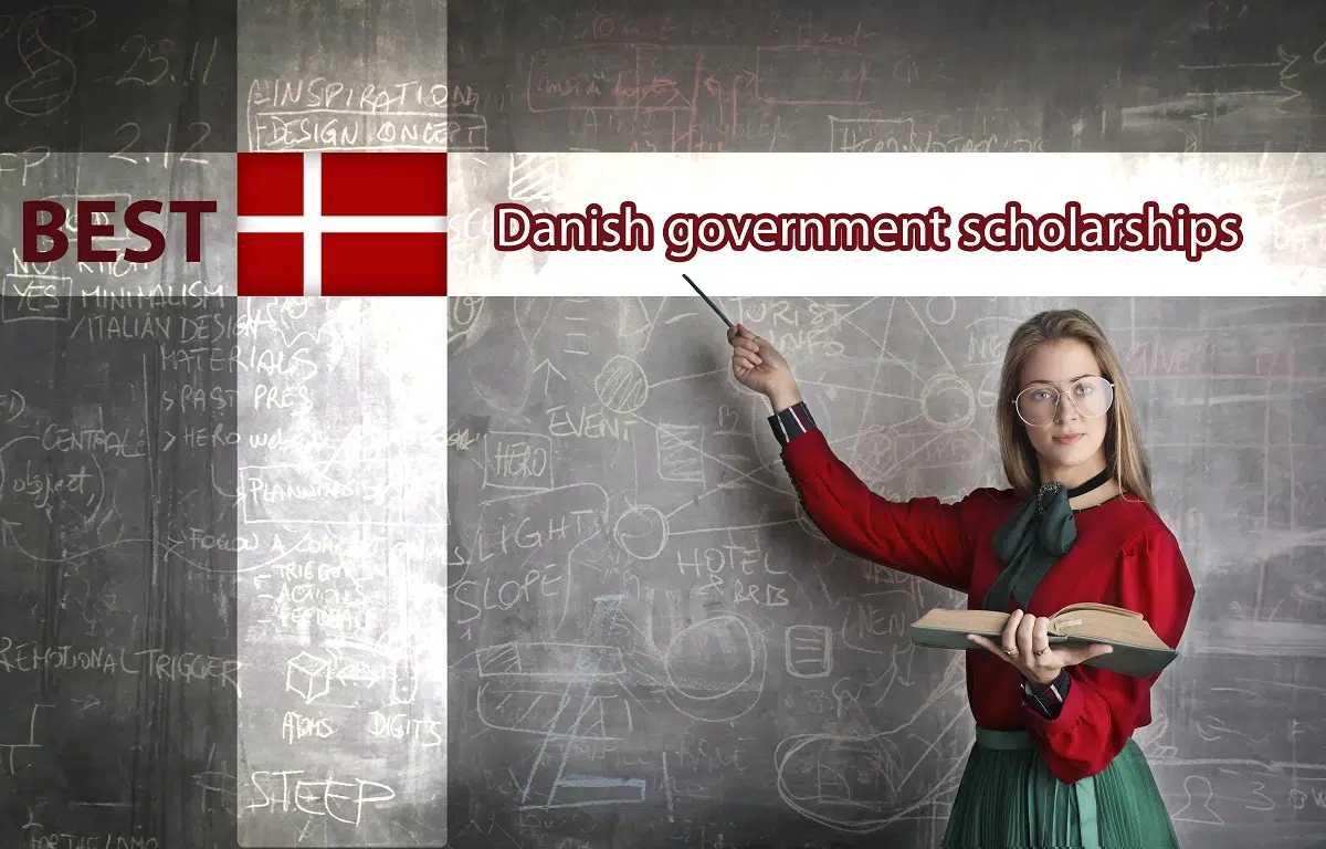 Danish government scholarship 2024