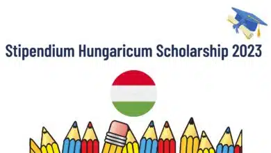 Stipendium Hungaricum