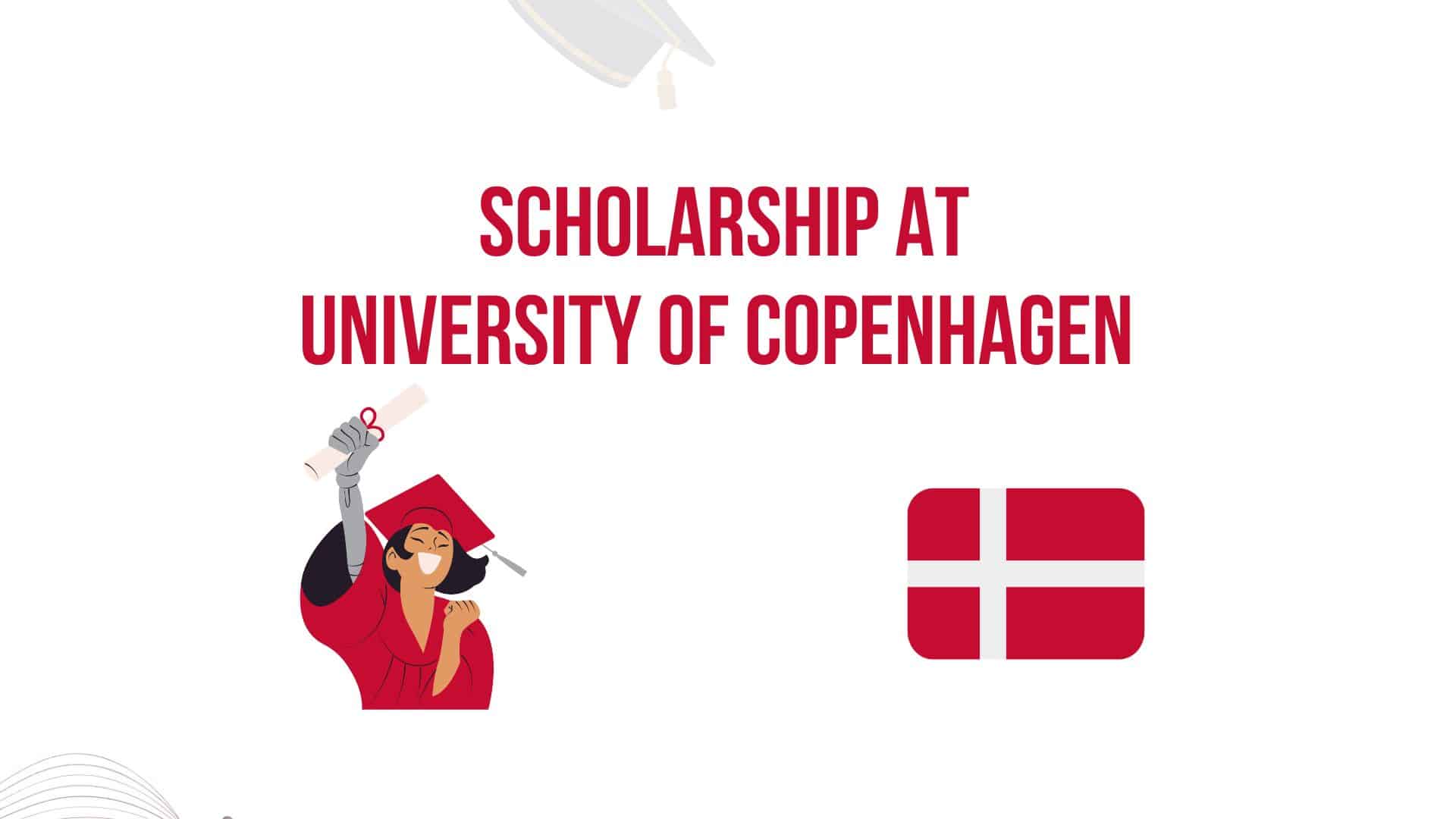 phd requirements denmark