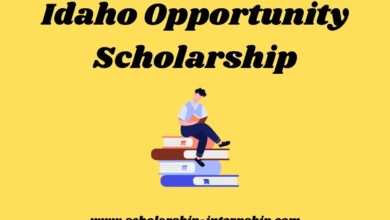 Idaho scholarship for adults