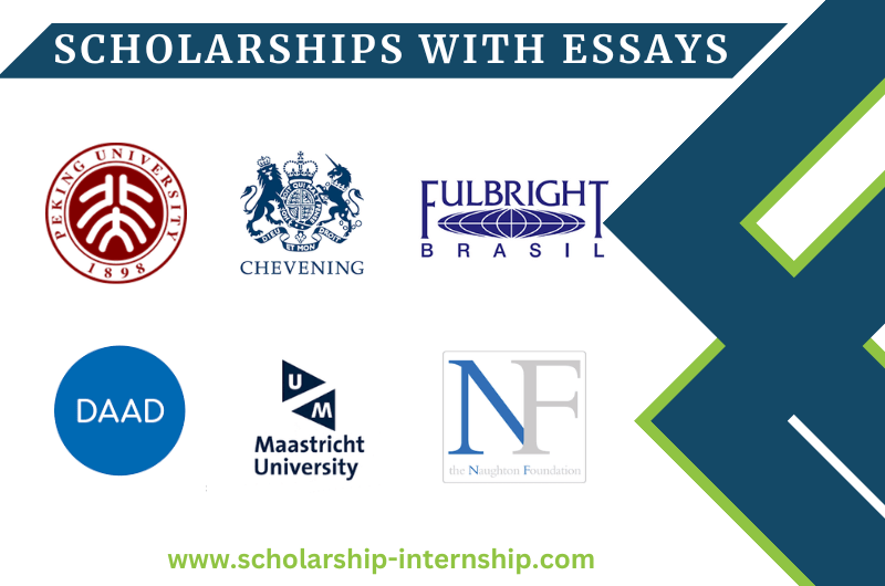 Top Scholarship Essays