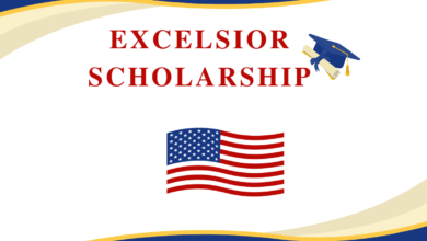 excelsior scholarship program