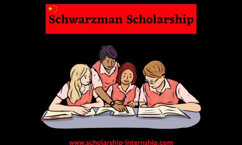 schwarzman scholars program