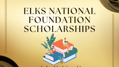 Elks MVS Scholarship
