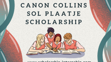 South Africa bursary