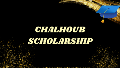 Scholarship to study in France