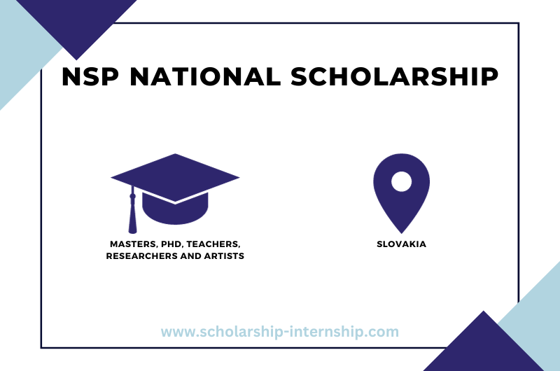Description of NSP Slovakia Scholarship 2023